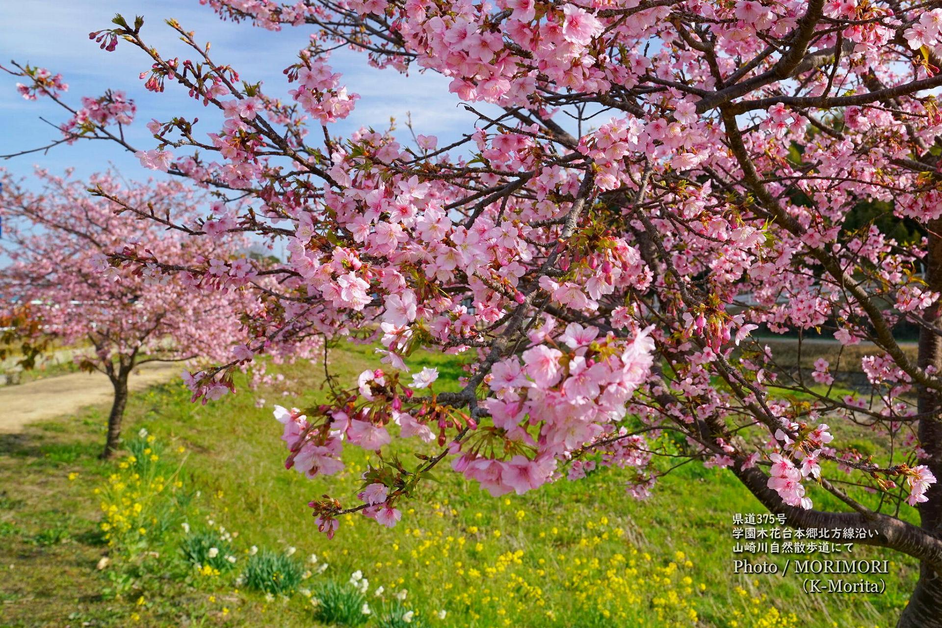  9. 食生活の変更