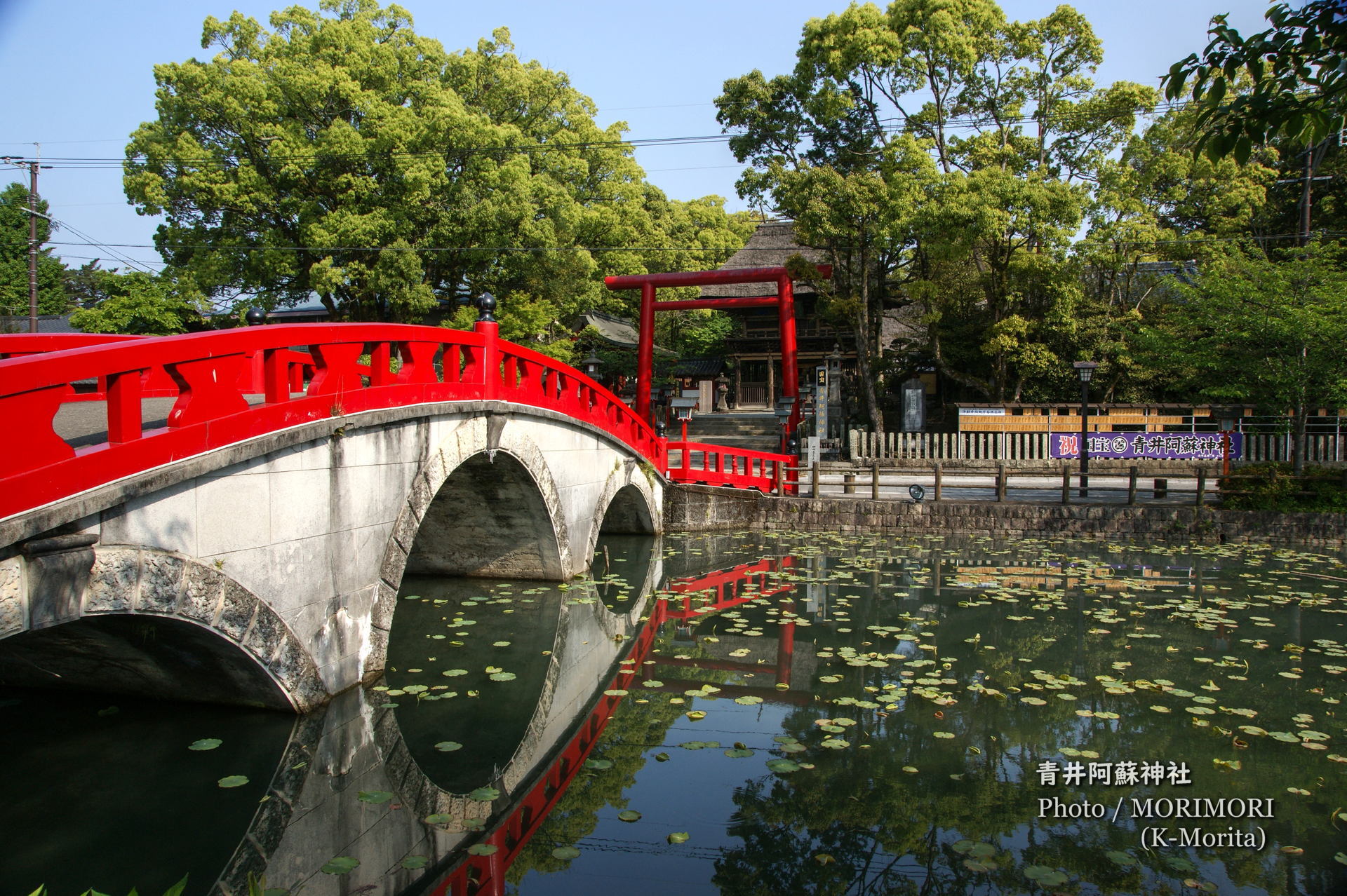 document.write('<i style="background-color: '+randomColor()+'">▼</i>');青井阿蘇神社(人吉市)　拝殿床上１mの高さまで濁流