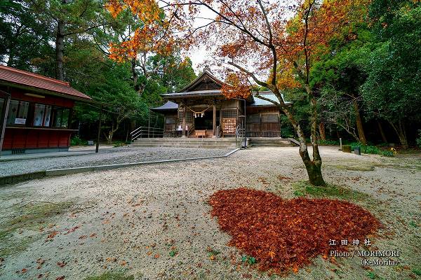 江田神社 境内の紅葉（ハートの落ち葉）