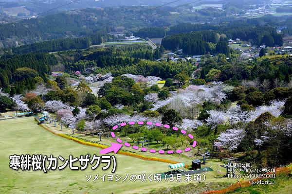 (ᥤ襷)餯ˡָ