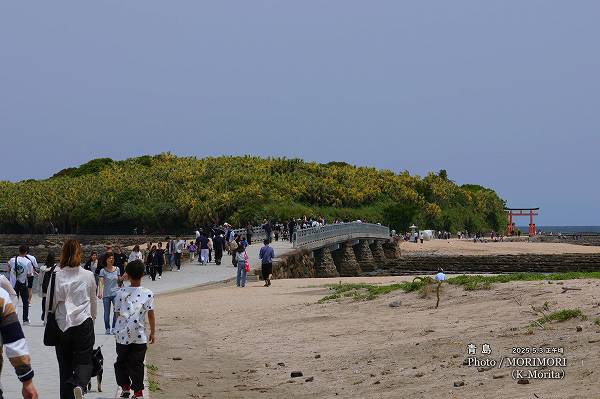 硡2025ǯ3Ả