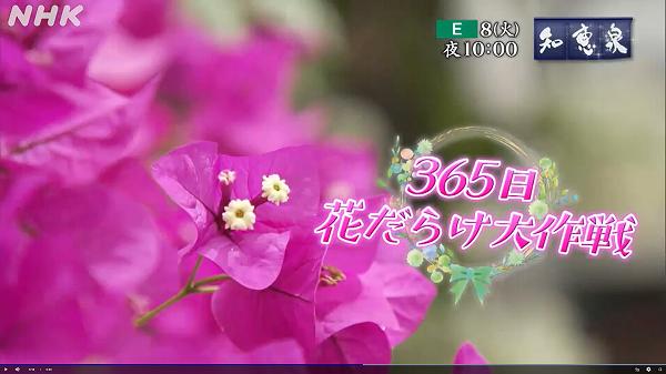 岩切章太郎 南国宮崎・新婚旅行ブーム仕掛け人 岩切章太郎 南国宮崎・新婚旅行ブーム仕掛け人