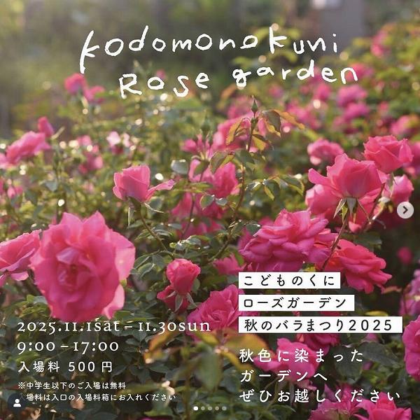 2025ΥХޤĤʵܺ ɤΤ ǥ