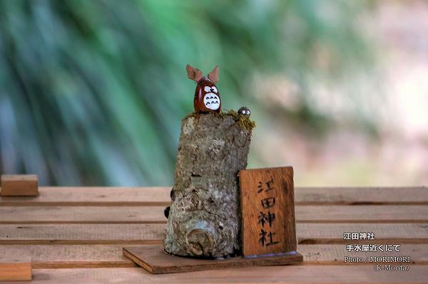 森の妖精?(江田神社手水屋付近にて) 森の妖精?(江田神社手水屋付近にて)