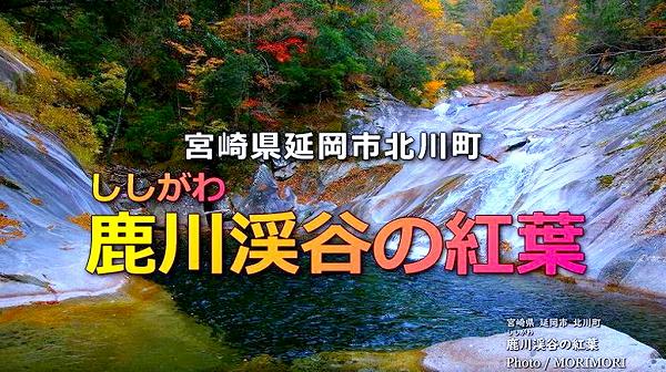 延岡市 鹿川渓谷の紅葉 延岡市 鹿川渓谷の紅葉