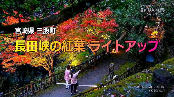 三股町 長田峡の紅葉とライトアップ 三股町 長田峡の紅葉とライトアップ