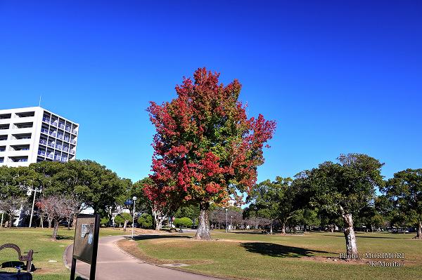 ܺ긩ʸ ߥХեεڤι