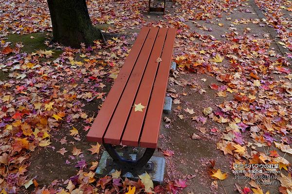 ߥХեʥꥫեˤιաܺ ̱ο