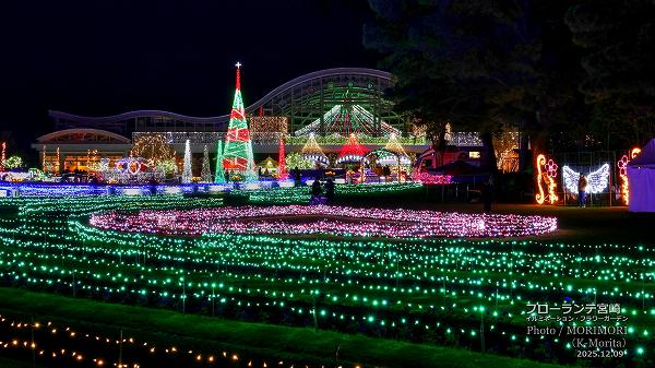 եƵܺꡡߥ͡եǥ2025