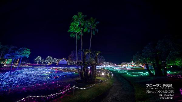フローランテ宮崎 イルミネーションフラワーガーデン2025 フローランテ宮崎 イルミネーションフラワーガーデン2025