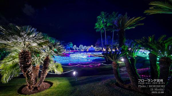 フローランテ宮崎 イルミネーションフラワーガーデン2025 フローランテ宮崎 イルミネーションフラワーガーデン2025
