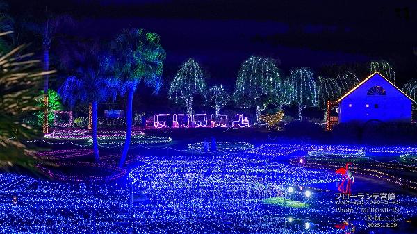 フローランテ宮崎 イルミネーションフラワーガーデン2025 フローランテ宮崎 イルミネーションフラワーガーデン2025