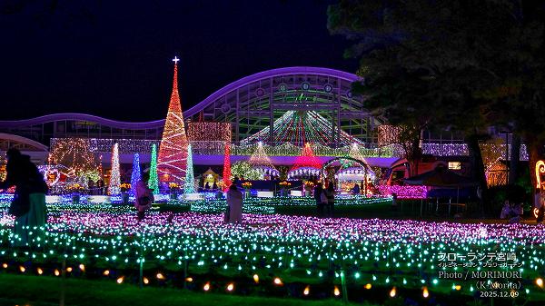 フローランテ宮崎 イルミネーションフラワーガーデン2025 フローランテ宮崎 イルミネーションフラワーガーデン2025