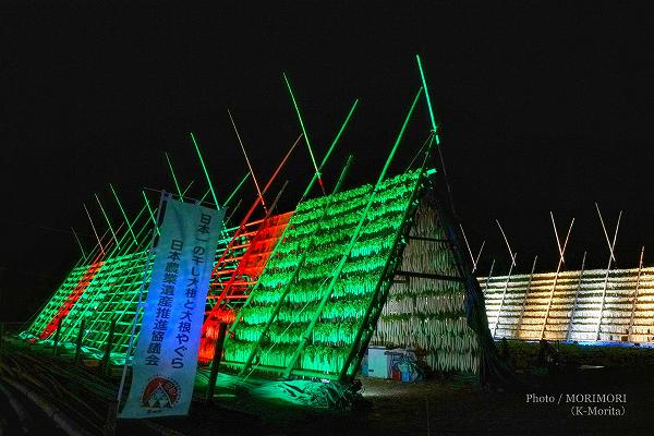 �ܺ������Į���纬�䤰��