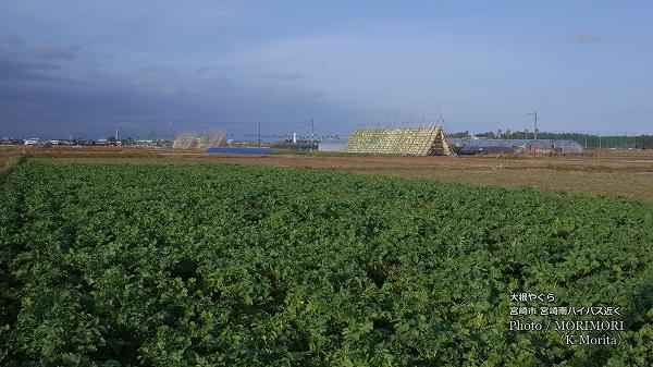 �纬Ȫ���纬�䤰�顡�ܺ�ԡ��ܺ���Х��ѥ�(��ƻ220����յ�