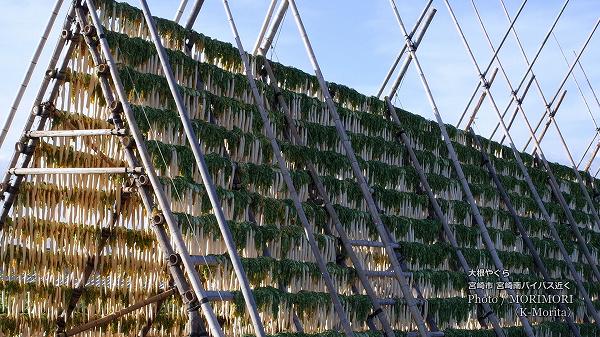 �䤰����¤���纬���ܺ���Х��ѥ�(��ƻ220��˶᤯