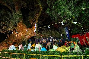 �������� ��ö�׿���