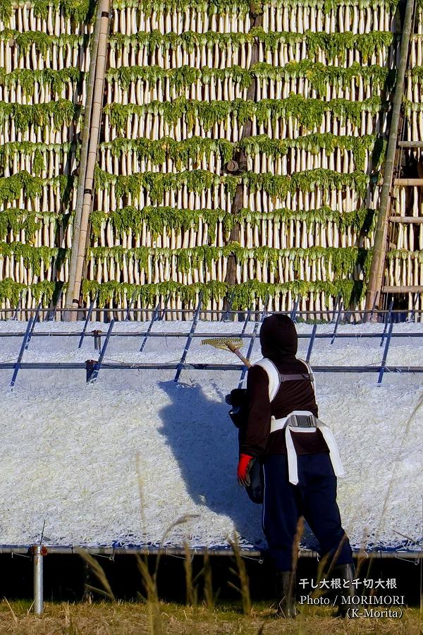 ���ڤ��纬�ȴ��纬�䤰��ʵܺ���ܶ�������