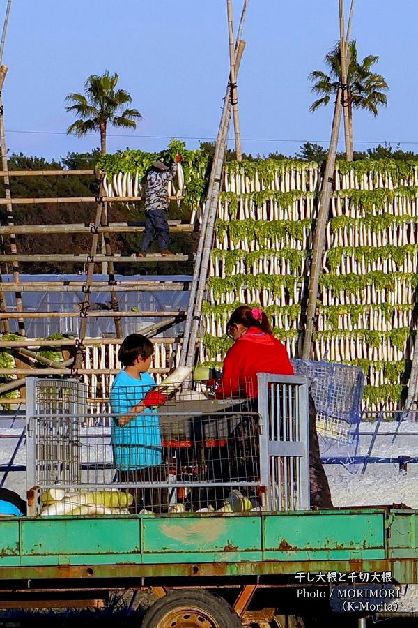 ���ڤ��纬�ȴ��纬�䤰��ʵܺ���ܶ�������