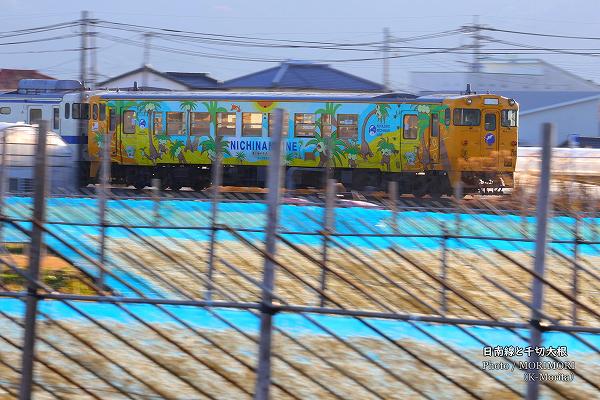 日南線「ナッシートレイン宮崎」と千切り大根 日南線「ナッシートレイン宮崎」と千切り大根