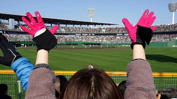 �ܺꡡ������