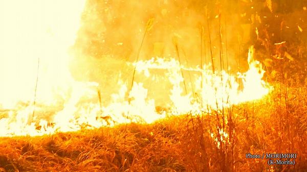 ��Ƥ��Υ��᡼��