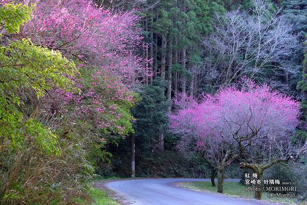 �ܺ�Թ����� ���� (2026.1.22���ơ�