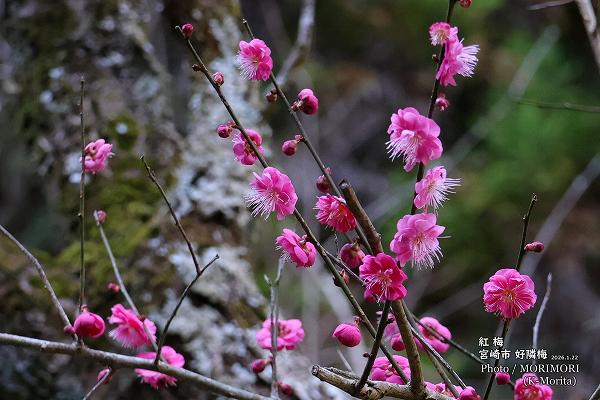 �ܺ�Թ����� ���� (2026.1.22���ơ�