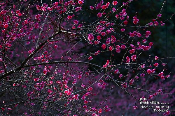 �ܺ�Թ����� ���� (2026.1.22���ơ�