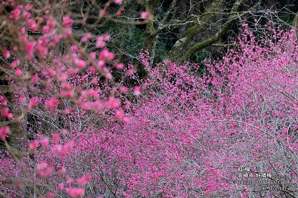 �ܺ�Թ����� ���� (2026.1.22���ơ�