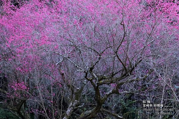 �ܺ�Թ����� ���� (2026.1.22���ơ�