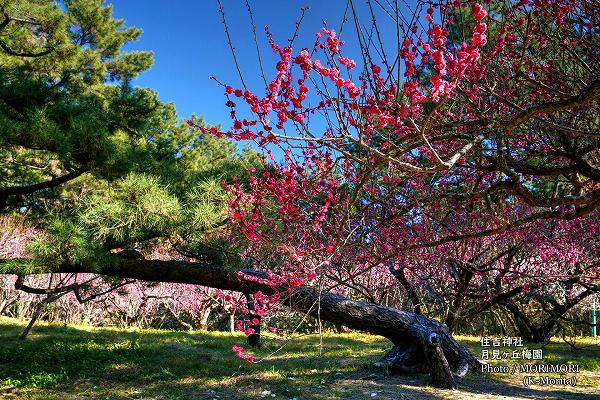 ������߱�ʵܺ�� ���ȿ��ҡ�