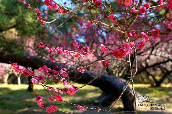 ������߱�ʵܺ�� ���ȿ��ҡ�