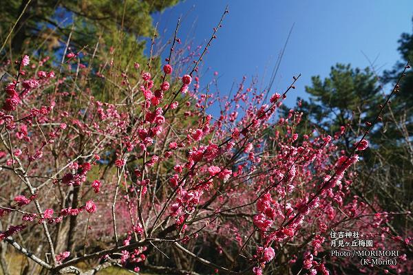 ������߱�ʵܺ�� ���ȿ��ҡ�