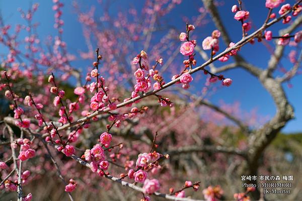 ��̱�ο��߱�ʵܺ�� ���ȴ������Ӹ����