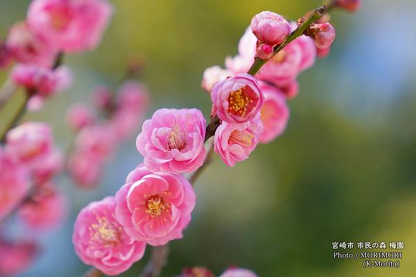 ��̱�ο��߱�ʵܺ�� ���ȴ������Ӹ����