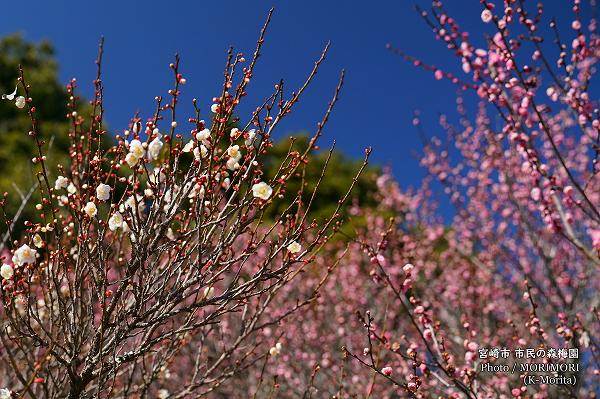 ��̱�ο��߱�ʵܺ�� ���ȴ������Ӹ����