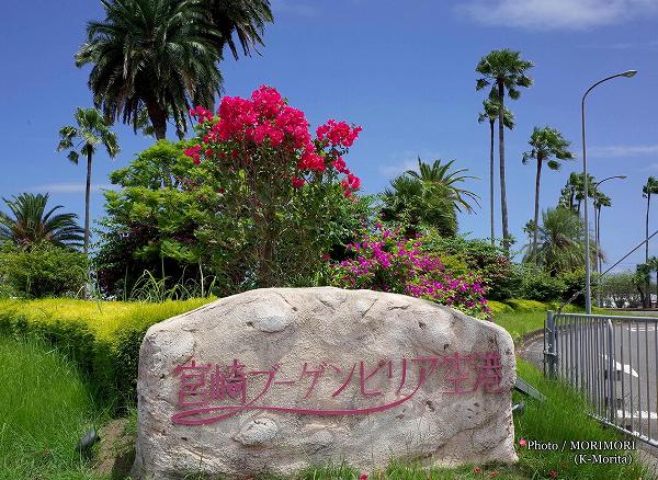 �ܺ���������᤯������