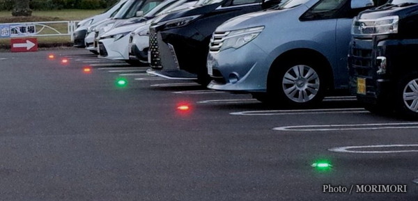 ��־������ɽ���̣ţ�