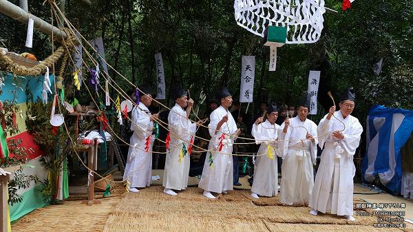 Ĭ�ֿ��ڡ�4�����겼������