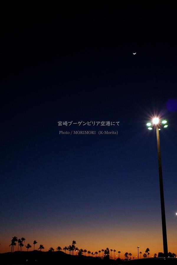夕景 月とワシントニアパーム 宮崎ブーゲンビリア空港駐車場にて 夕景 月とワシントニアパーム 宮崎ブーゲンビリア空港駐車場にて
