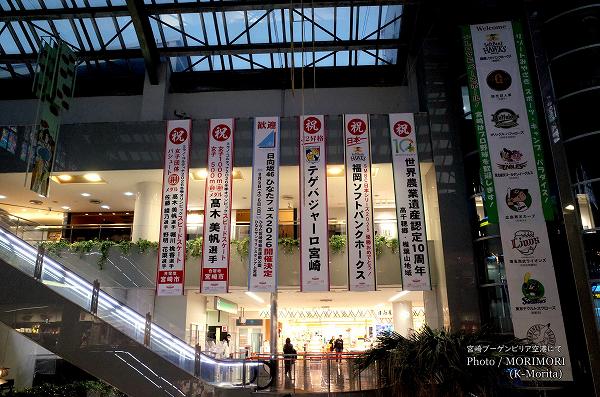 �����ˤϡ�������46���Ҥʤ��ե���2026���ŷ���׹��Τ⡡�ܺ�֡�����ӥꥢ�����ˤ�