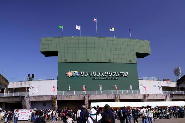 �Ҥʤ�����ޥ�󥹥�������ܺ��2026WBC������ѥ󥭥��ס�