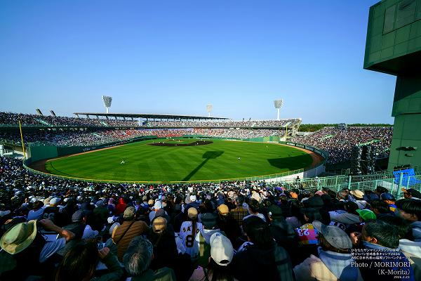 �Ҥʤ�����ޥ�󥹥�������ܺ��2026WBC������ѥ󥭥��ס�