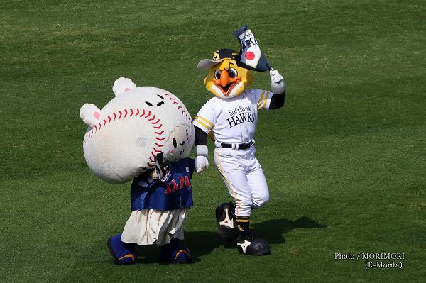 �ף£�������ɽ���ۡ�������ˤ�