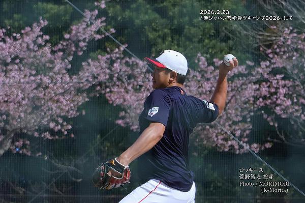 ������Ƿ���ʥ��å�������