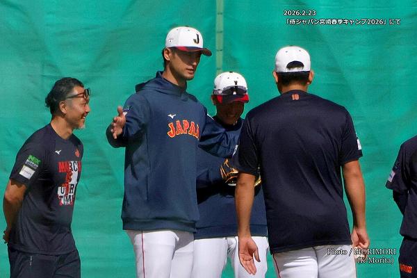 �ף£�������ɽ���