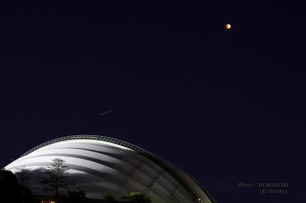 �������2026ǯ3��3�����ܺ긩���籿ư���� �ڤβ֥ɡ���