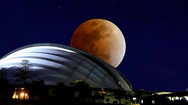 �������������2026ǯ3��3�����ܺ긩���籿ư���� �ڤβ֥ɡ���