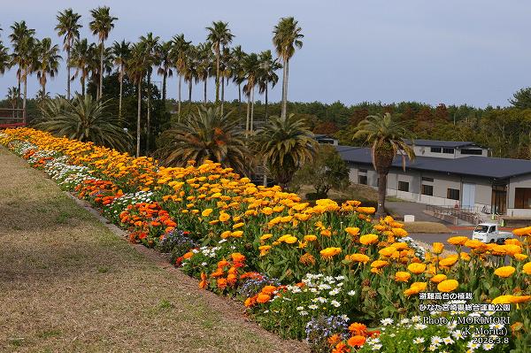 �������νդο��ϡʤҤʤ��ܺ긩���籿ư�����